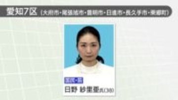 衆院愛知7区で国民民主党の日野紗里亜氏が再選　敗れた自民党の鈴木淳司氏は比例復活当選