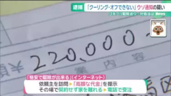 クーリング・オフの対象になる場合も　害虫駆除を巡るトラブル対処法　若い世代からの相談増