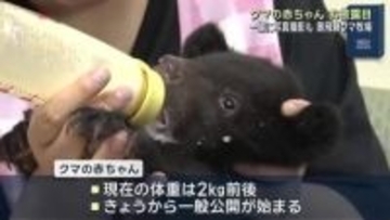 「ふかふか」クマの赤ちゃんお披露目　抱っこして記念撮影も　岐阜・奥飛騨クマ牧場