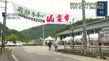 「山菜の宝庫」岐阜・飛騨河合町で山菜市 ワラビやゼンマイ、姫竹など採れたての山菜を販売