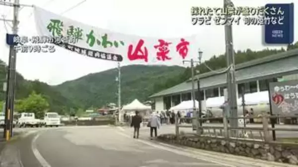 「山菜の宝庫」岐阜・飛騨河合町で山菜市 ワラビやゼンマイ、姫竹など採れたての山菜を販売