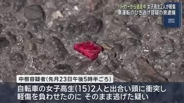 パトカーから逃走中に自転車の女子高生2人をはねる　ひき逃げの疑いで男（20）を逮捕　名古屋・中川区