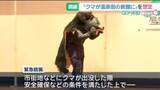 「下呂温泉の旅館にクマ出没を想定　猟友会メンバーらが初の緊急銃猟の訓練」の画像1