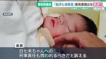 交通事故「胎児も被害者」　国への意見書提出は年内見送り　愛知県議会あいち民主「慎重に内容を精査」