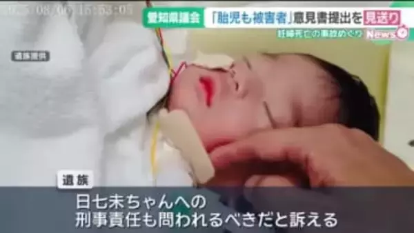 交通事故「胎児も被害者」　国への意見書提出は年内見送り　愛知県議会あいち民主「慎重に内容を精査」