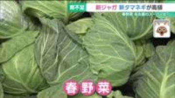 今のおすすめは激安なブロッコリー　雨不足の影響　新ジャガ・新タマネギが高値に