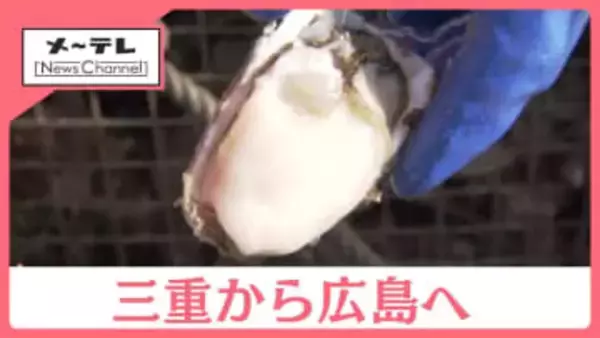 カキ不漁の広島を三重県が救援！「浦村として助けられたら」