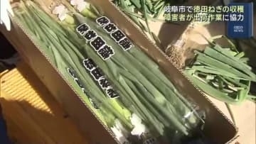 障害者が野菜の「出荷調整」を協力　生産者の負担を軽減　岐阜の「徳田ねぎ」で新たな取り組み