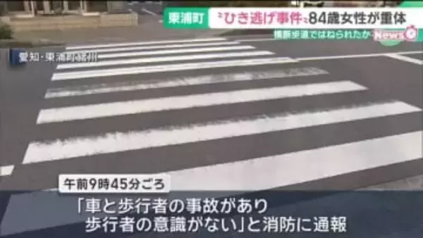手を上げて横断歩道を渡ってはねられたか　84歳女性が重体、ひき逃げの疑いで事情聴取　愛知・東浦町