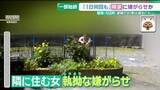 「【カメラが捉えた】畑にごみ投棄、玄関のツバメを…隣人への嫌がらせ一部始終　逮捕の女は過去にも　岐阜」の画像1