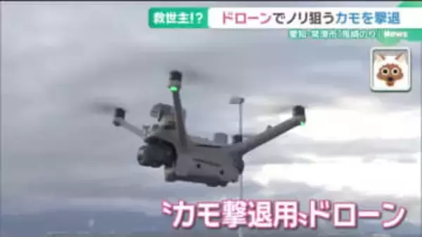 ノリ被害が深刻　犯人は空からやってくる「カモ」　ドローンでの撃退に期待　愛知