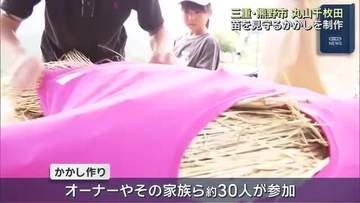 三重・熊野市の丸山千枚田でオーナー家族らが苗を見守るかかし制作　わらで胴体をつくり服を着せて個性豊か