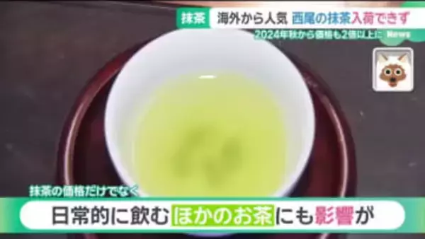 世界的抹茶ブーム背景に抹茶だけでなく煎茶の価格も高騰