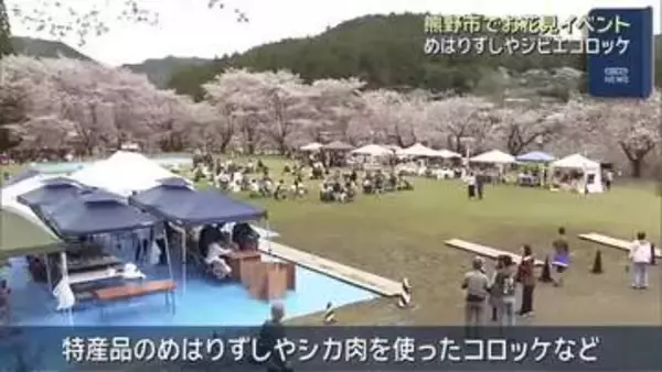 三重県熊野市の桜の名所で花見イベント「桜覧会」　特産品楽しみながら花見楽しむ