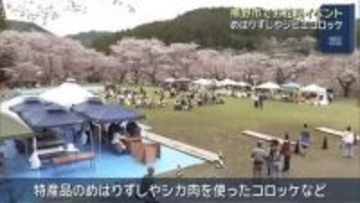 三重県熊野市の桜の名所で花見イベント「桜覧会」　特産品楽しみながら花見楽しむ