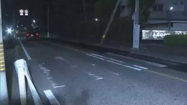 愛知・岡崎市の横断歩道でひき逃げか　58歳の男を逮捕も容疑否認「当たり屋だと思い怖くなって逃げた」