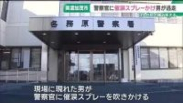 捜査中の警察官に催涙スプレーかけ男が逃走　3人が目の痛みを訴える　岐阜