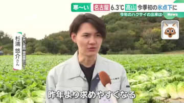 「鍋モード」全開！ 鍋に欠かせない白菜、今年の出来は「順調」