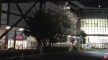 名古屋のイオンモールでスタンガンやナイフ突きつけ強盗か　14歳中学生と16歳無職の少年を逮捕