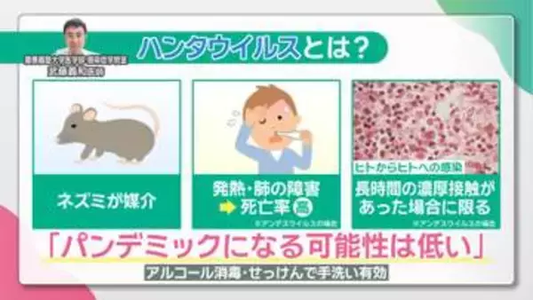 アジア大会ではクルーズ船が選手の宿泊施設に　感染症の専門医に聞く「ハンタウイルス」への対策