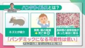 アジア大会ではクルーズ船が選手の宿泊施設に　感染症の専門医に聞く「ハンタウイルス」への対策