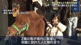 「午年に合わせて「おまんと祭り」の神社で馬との触れ合い 熱田神宮や伊勢神宮は初詣のにぎわい」の画像1