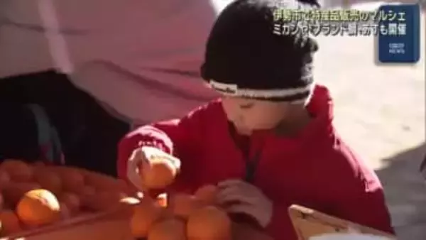 伊勢市で特産品のマルシェ開催　ミカンや”ブランド鯛”など