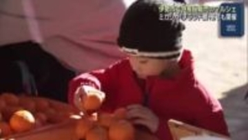 伊勢市で特産品のマルシェ開催　ミカンや”ブランド鯛”など