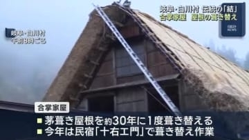 合掌家屋で屋根の葺き替え　伝統の「結」で80人が集まる　岐阜県白川村