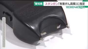 愛知県がスタンガンを「有害がん具類」に指定　18歳未満への販売禁止に