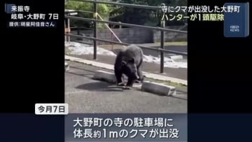 寺にクマが出没した岐阜県大野町　ハンターが1頭を駆除　出没したクマとみられる