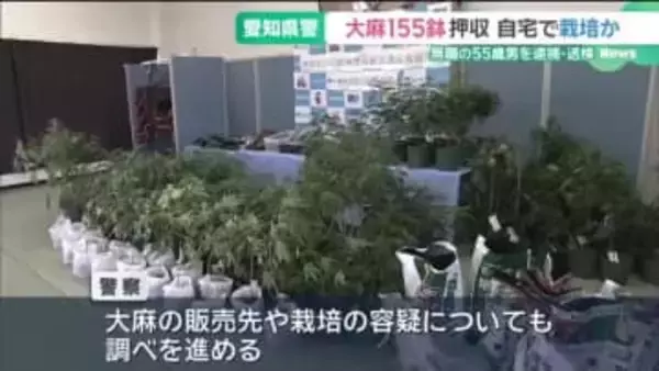 営利目的で大麻草所持か、山梨県の55歳男を逮捕　自宅から155鉢を押収　愛知県警