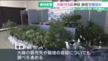 営利目的で大麻草所持か、山梨県の55歳男を逮捕　自宅から155鉢を押収　愛知県警