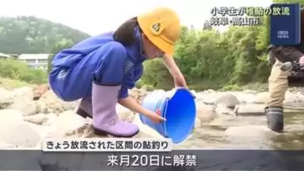 「大きくなれよ」小学生が飛騨川で琵琶湖産の稚鮎3000匹を放流　岐阜・高山市