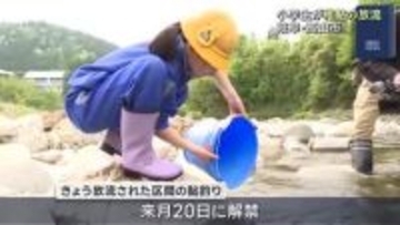 「大きくなれよ」小学生が飛騨川で琵琶湖産の稚鮎3000匹を放流　岐阜・高山市