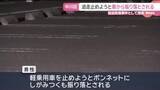 「かばん盗み車で逃走…止めようとボンネットにしがみつき振り落とされた男性軽傷　名古屋市中川区」の画像1