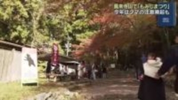 愛知県新城市にある鳳来寺山で「もみじまつり」　今年からクマ注意の看板も