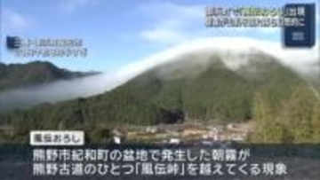 幻想的な気象現象「風伝おろし」　霧が山肌を流れ落ちる　三重県御浜町