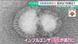 「インフルエンザ流行がA型からB型に、受験シーズンの学校に脅威　小児科医「高熱よりお腹の症状が目立つ」」の画像1