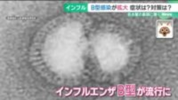 インフルエンザ流行がA型からB型に、受験シーズンの学校に脅威　小児科医「高熱よりお腹の症状が目立つ」