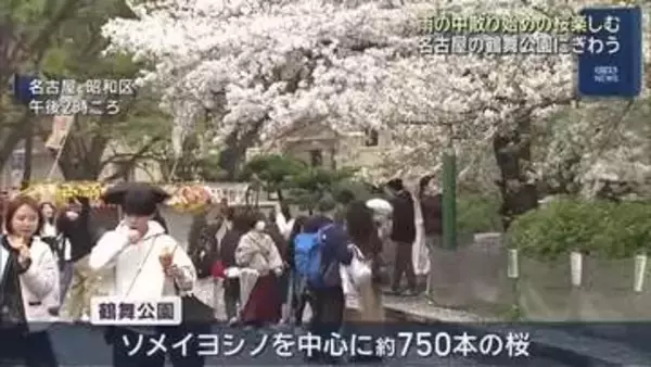 花散らしの雨　名古屋の桜の名所では花見を楽しむ姿も　鶴舞公園