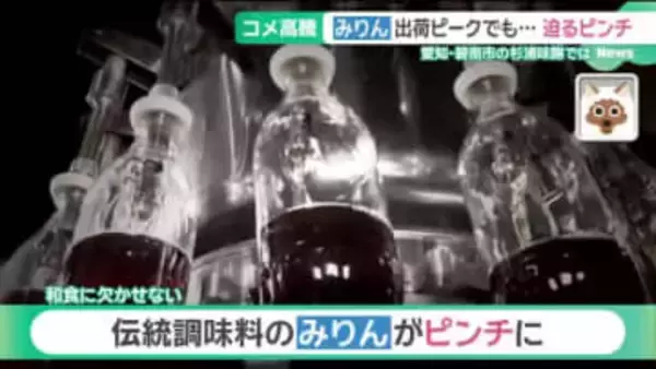 「令和のコメ騒動」が“みりん”にも影響　もち米高騰で「1年後は値上げやむ無し」　愛知