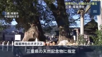 御神木のオオクス　しめ縄のかけ替え　三重県尾鷲市