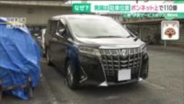 男性を車のボンネットに乗せたまま蛇行運転し振り落したか　殺人未遂の疑いで男を逮捕　三重