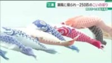 世界遺産の海岸で潮風に揺られる250匹のこいのぼり　三重・熊野市の七里御浜海岸