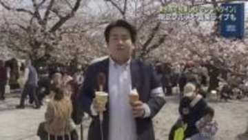 お寺で楽しむ桜・グルメ・音楽「サクラベツイン」桜見頃の東別院で開催　名古屋