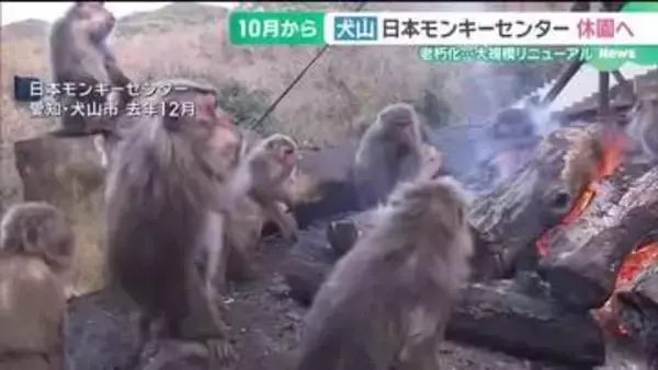 日本モンキーセンターが10月から休園へ　老朽化のため大規模リニューアル　3～4年後の再開目指す