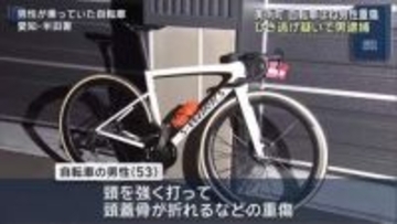 自転車の男性はねた重傷ひき逃げ事件で男逮捕「交通事故を起こした覚えなし」と一部否認 愛知・美浜町