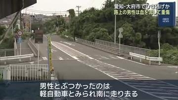 深夜の路上で男性が重傷　わき腹に車にひかれたような跡　目撃情報から軽自動車の行方追う　愛知・大府市