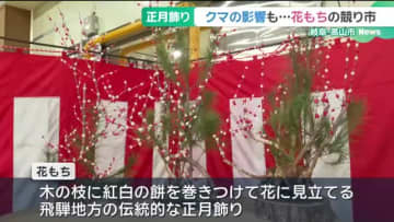 飛騨地方の正月飾り「花もち」競り市で6万円　クマ出没で入荷は半減　岐阜・高山市